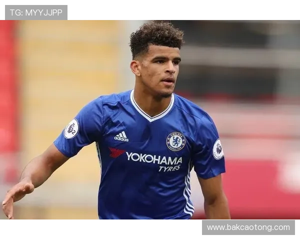 索兰克全力追逐世界杯梦想奋斗