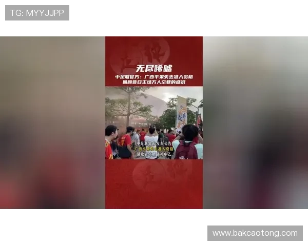 北青广西平果无缘准入或遭追罚