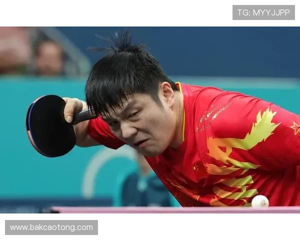 樊振东放弃世乒赛背后真相揭秘